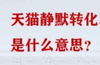 天貓靜默轉(zhuǎn)化率是什么意思？