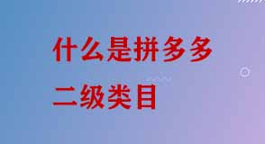拼多多二級(jí)類(lèi)目