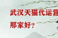 武漢天貓代運(yùn)營(yíng)那家好？