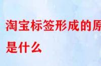 怎樣得到精準(zhǔn)流量？淘寶標(biāo)簽形成的原因是什么？