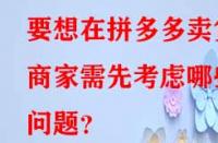 要想在拼多多賣(mài)貨商家需先考慮哪些問(wèn)題？