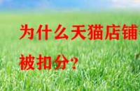為什么天貓店鋪會被扣分？