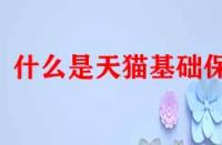 什么是天貓基礎(chǔ)保障？它的作用是什么？