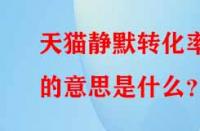 天貓靜默轉(zhuǎn)化率的意思是什么？