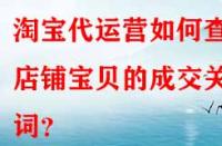 淘寶代運營如何查看店鋪寶貝的成交關(guān)鍵詞？