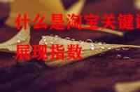 什么是淘寶關(guān)鍵詞展現(xiàn)指數(shù)？它的作用是什么？