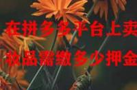 在拼多多平臺(tái)上賣化妝品需繳多少押金？