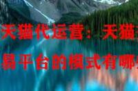 天貓代運(yùn)營：天貓交易平臺(tái)的模式有哪些？