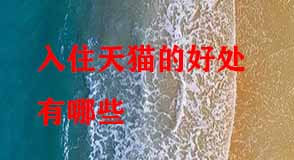 天貓代運(yùn)營