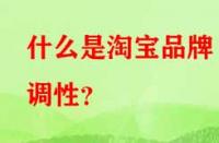什么是淘寶品牌調(diào)性？
