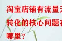 淘寶店鋪有流量無(wú)轉(zhuǎn)化的核心問(wèn)題在哪里？