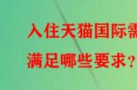 入住天貓國際需滿足哪些要求？