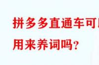 拼多多直通車可以用來(lái)養(yǎng)詞嗎？