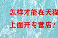 怎樣才能在天貓上面開專營(yíng)店？