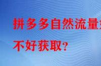拼多多自然流量好不好獲取？