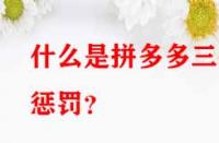 什么是拼多多三級(jí)懲罰？