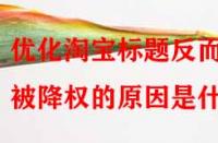 優(yōu)化淘寶標(biāo)題反而被降權(quán)的原因是什么？