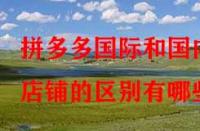 拼多多國際和國內(nèi)店鋪的區(qū)別有哪些？