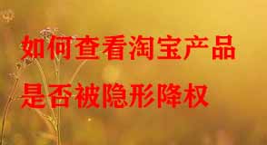 淘寶代運(yùn)營