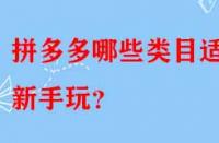 拼多多哪些類目適合新手玩？