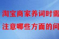 淘寶商家養(yǎng)詞時(shí)需注意哪些方面的問題？
