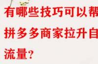 有哪些技巧可以幫助拼多多商家拉升自然流量？