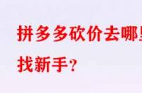 拼多多砍價(jià)去哪里找新手？