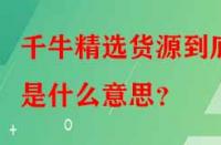 千牛精選貨源到底是什么意思？