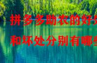 拼多多助農(nóng)的好處和壞處分別有哪些？