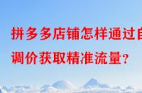 拼多多店鋪怎樣通過(guò)自動(dòng)調(diào)價(jià)獲取精準(zhǔn)流量？
