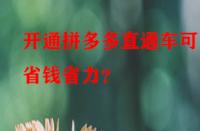 開通拼多多直通車可更省錢省力？